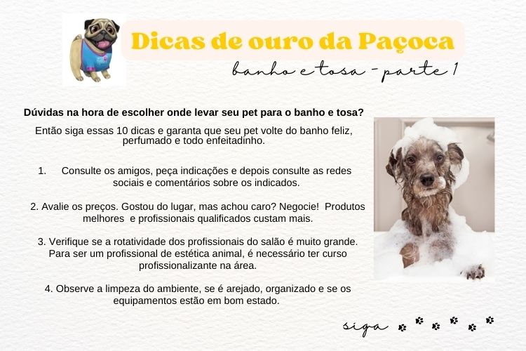 Dica Paçoca banho e tosa p1